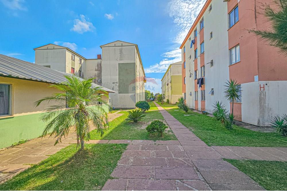 Apartamento - Venda - São Leopoldo , Rio Grande do Sul - Cópia de 20250707_163050 (1) (6).jpg - 610411026-64