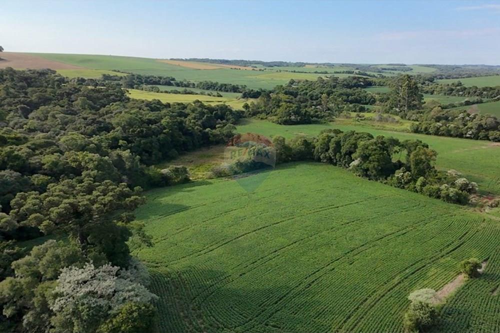 Chácara / Sítio / Fazenda - Venda - Nonoai , Rio Grande do Sul - WhatsApp Image 2025-01-15 at 17.51.25.jpeg - 610231004-83