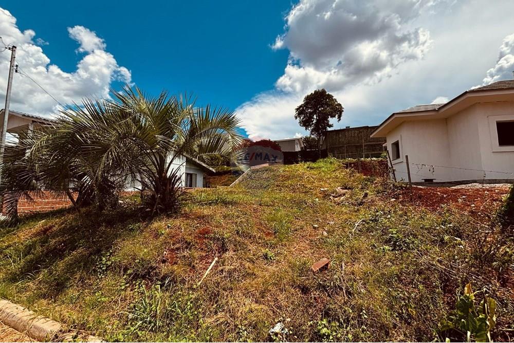 Terreno - Venda - Carazinho , Rio Grande do Sul - WhatsApp Image 2025-02-11 at 11.26.13.jpeg - 612701046-6