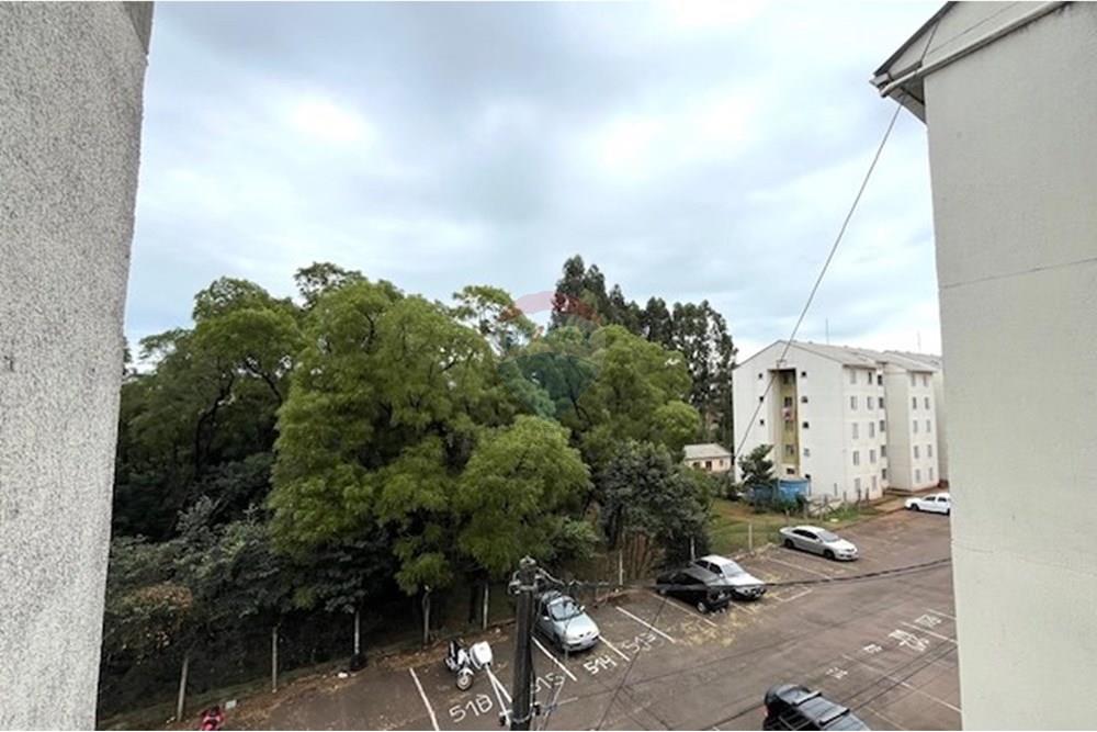 Apartamento - Venda - Passo Fundo , Rio Grande do Sul - IMG_6526.jpg - 610071006-1043