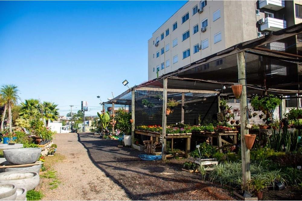 Terreno - Venda - Gravataí , Rio Grande do Sul - Imagem do WhatsApp de 2025-06-18 à(s) 10.45.24_0a44b0c7.jpg - 612551057-27