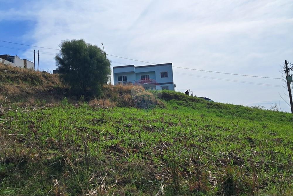 Terreno - Venda - Barão de Cotegipe , Rio Grande do Sul - 68610e15-336a-4685-80bd-12d15921f6f8.jpg - 612761034-3