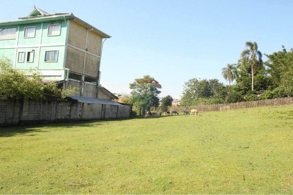 Industrial - Venda - Gravataí , Rio Grande do Sul - IMG_2239.JPG - 610161057-45