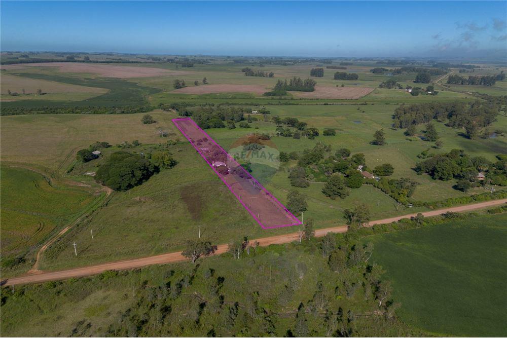 Chácara / Sítio / Fazenda - Venda - Santa Maria , Rio Grande do Sul - 1 - 610311056-76