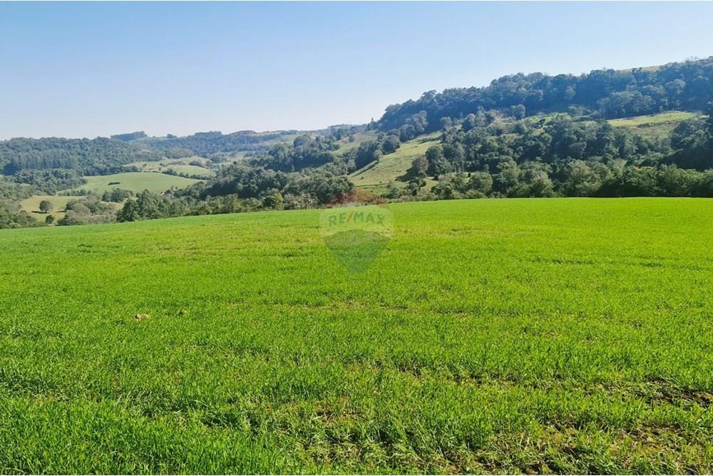 Chácara / Sítio / Fazenda - Venda - Trindade do Sul , Rio Grande do Sul - IMG-20250814-WA0082.jpg - 610231004-94