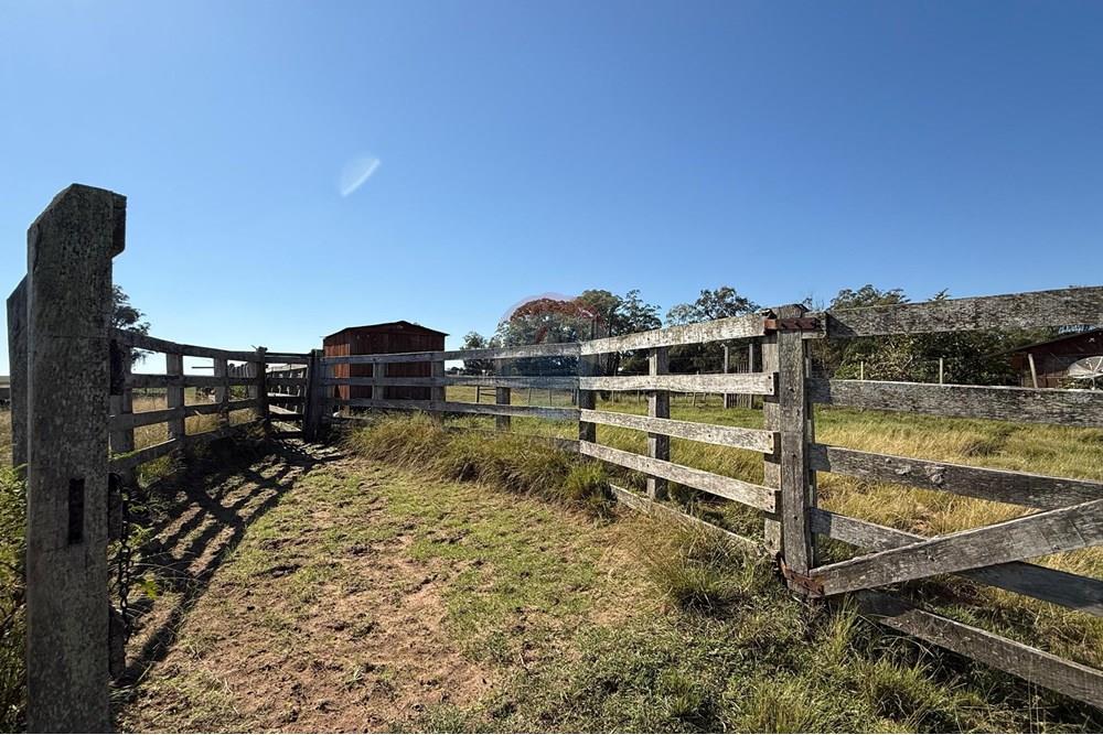 Chácara / Sítio / Fazenda - Venda - São Gabriel , Rio Grande do Sul - Imagem do WhatsApp de 2025-06-27 à(s) 23.45.44_10c9b651.jpg - 612631046-8