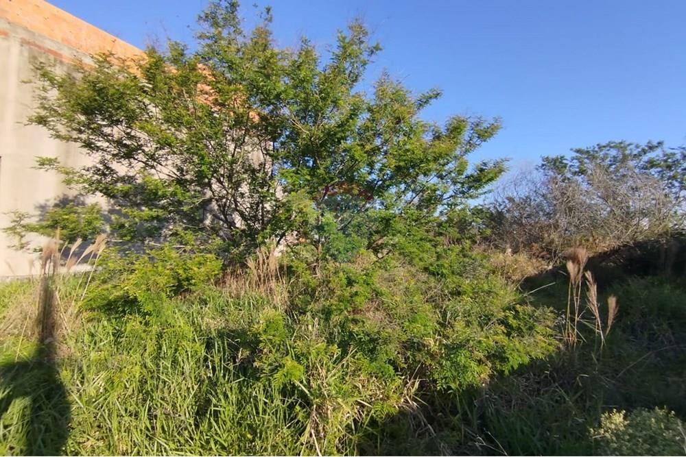 Terreno - Venda - Canoas , Rio Grande do Sul - Imagem do WhatsApp de 2025-09-26 à(s) 19.46.47_fbe0c73d.jpg - 610241023-66