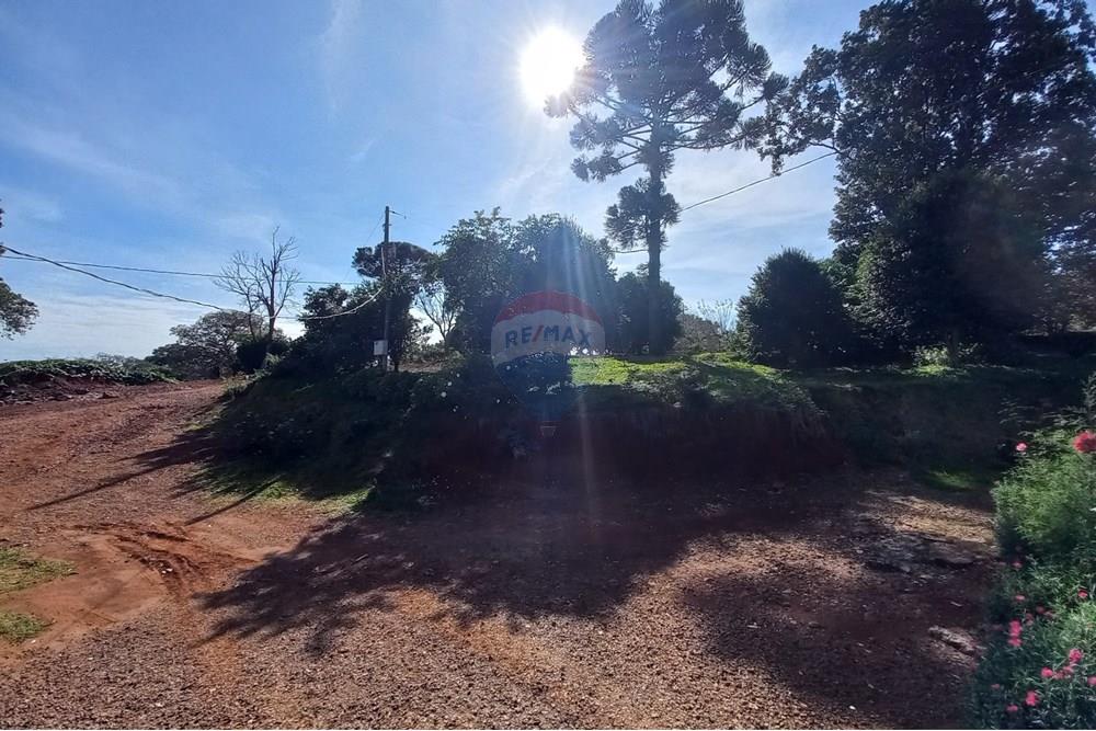 Chácara / Sítio / Fazenda - Venda - Nonoai , Rio Grande do Sul - 1000558470.jpg - 610231010-128