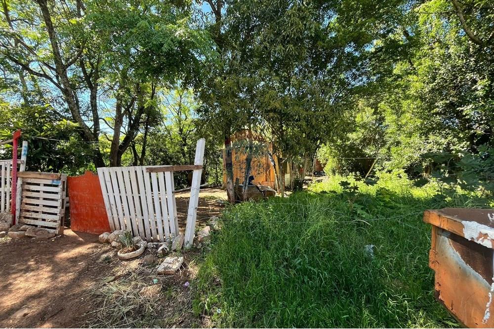 Terreno - Venda - Passo Fundo , Rio Grande do Sul - WhatsApp Image 2025-10-14 at 15.36.11.jpeg - 612721042-5