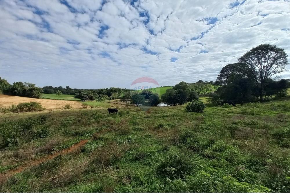 Chácara / Sítio / Fazenda - Venda - Nonoai , Rio Grande do Sul - 1000558513.jpg - 610231010-128