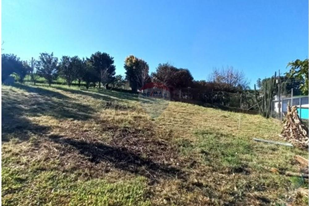 Terreno - Venda - Entre Rios do Sul , Rio Grande do Sul - WhatsApp Image 2025-09-10 at 00.59.27.jpeg - 610231035-3