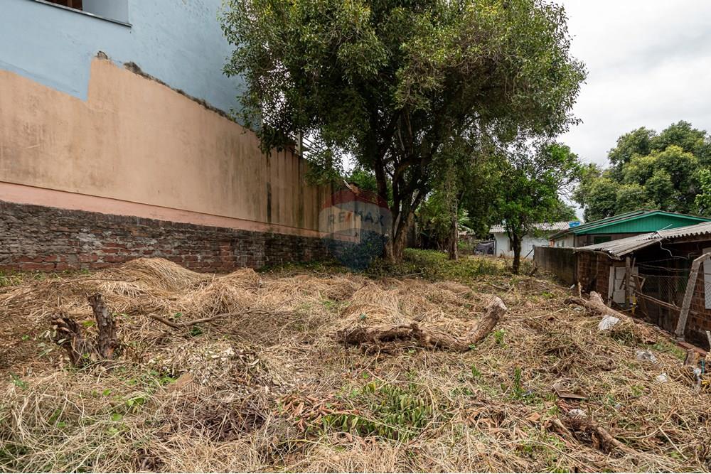 Terreno - Venda - Novo Hamburgo , Rio Grande do Sul - DSC_8199.jpg - 610261045-3