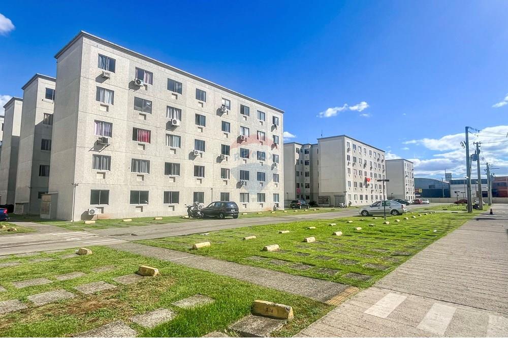 Apartamento - Venda - São Leopoldo , Rio Grande do Sul - IMG_9803.jpg - 610411052-39