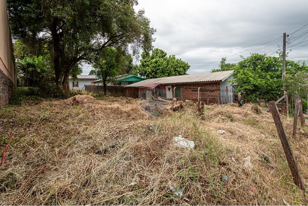 Terreno - Venda - Novo Hamburgo , Rio Grande do Sul - DSC_8197.jpg - 610261045-3