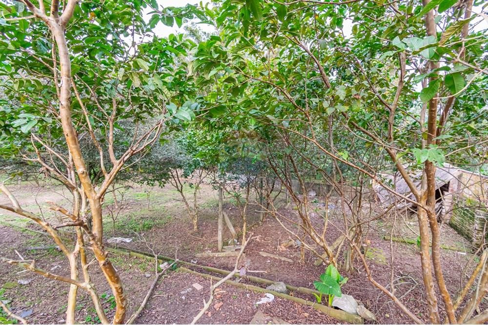 Casa - Venda - Gravataí , Rio Grande do Sul - _DSC6186.jpg - 610051035-114