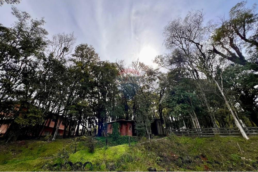 Chácara / Sítio / Fazenda - Venda - Passo Fundo , Rio Grande do Sul - 28.jpeg - 610271019-88