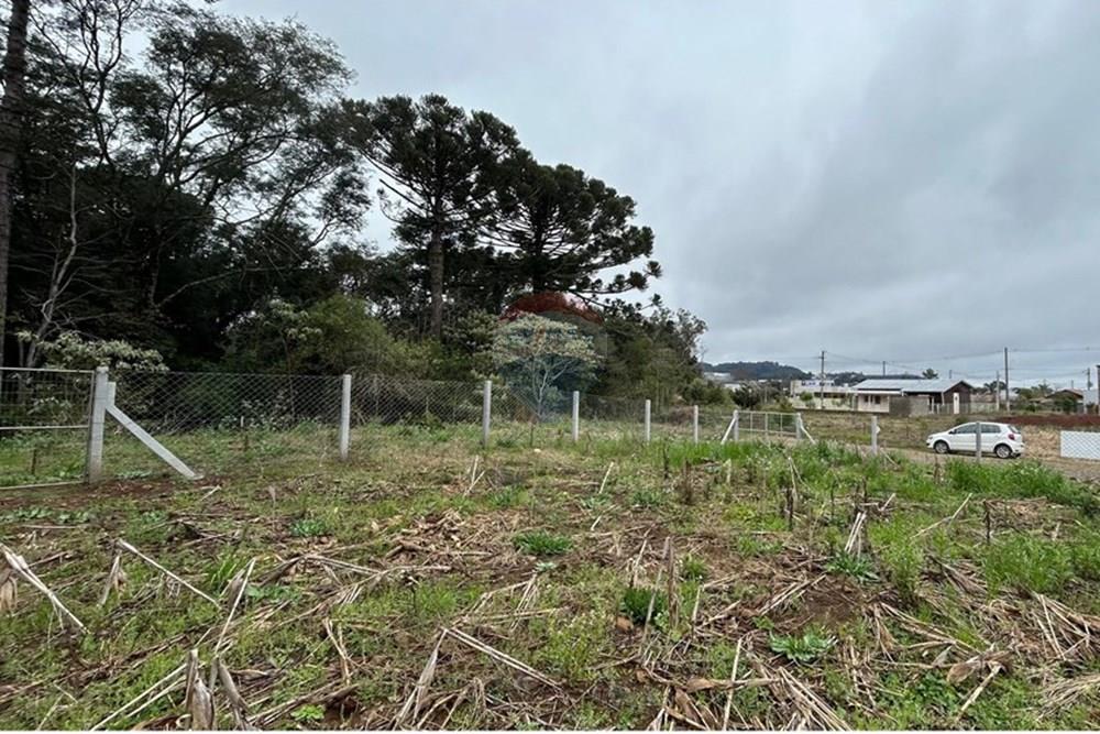 Terreno - Venda - Barão de Cotegipe , Rio Grande do Sul - WhatsApp Image 2025-08-09 at 14.34.27.jpeg - Fachada - 612761035-8