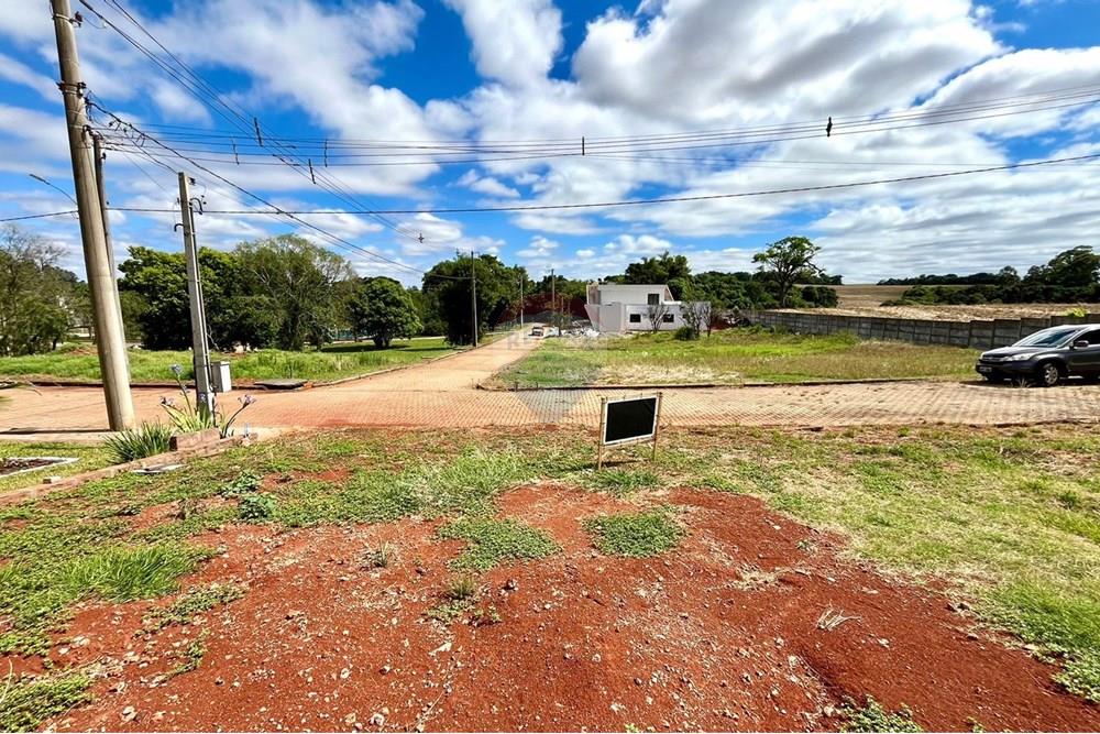 Terreno - Venda - Lagoa dos Três Cantos , Rio Grande do Sul - WhatsApp Image 2024-11-23 at 20.17.56.jpeg - 610271058-65