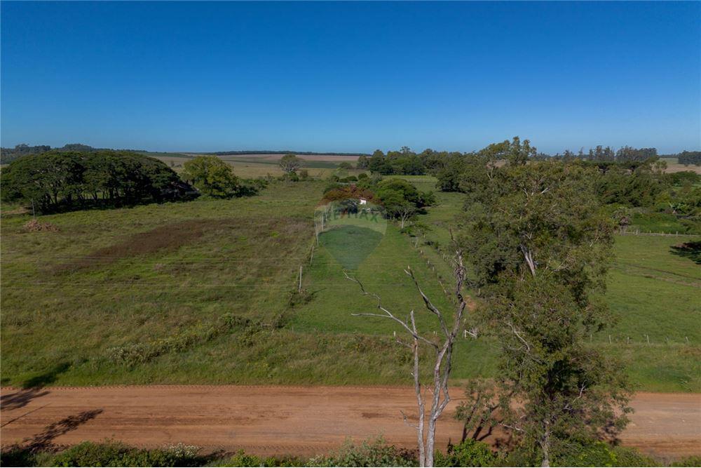 Chácara / Sítio / Fazenda - Venda - Santa Maria , Rio Grande do Sul - 7 - 610311056-76