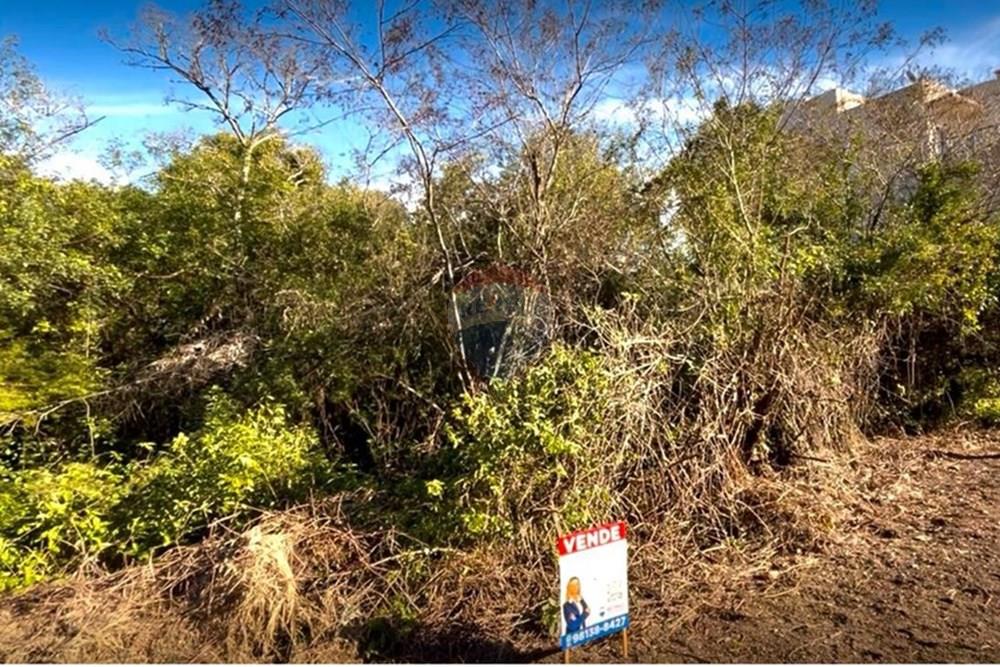 Terreno - Venda - Guaíba , Rio Grande do Sul - Imagem do WhatsApp de 2025-08-28 à(s) 16.10.22_ac54e39a.jpg - 612781019-16