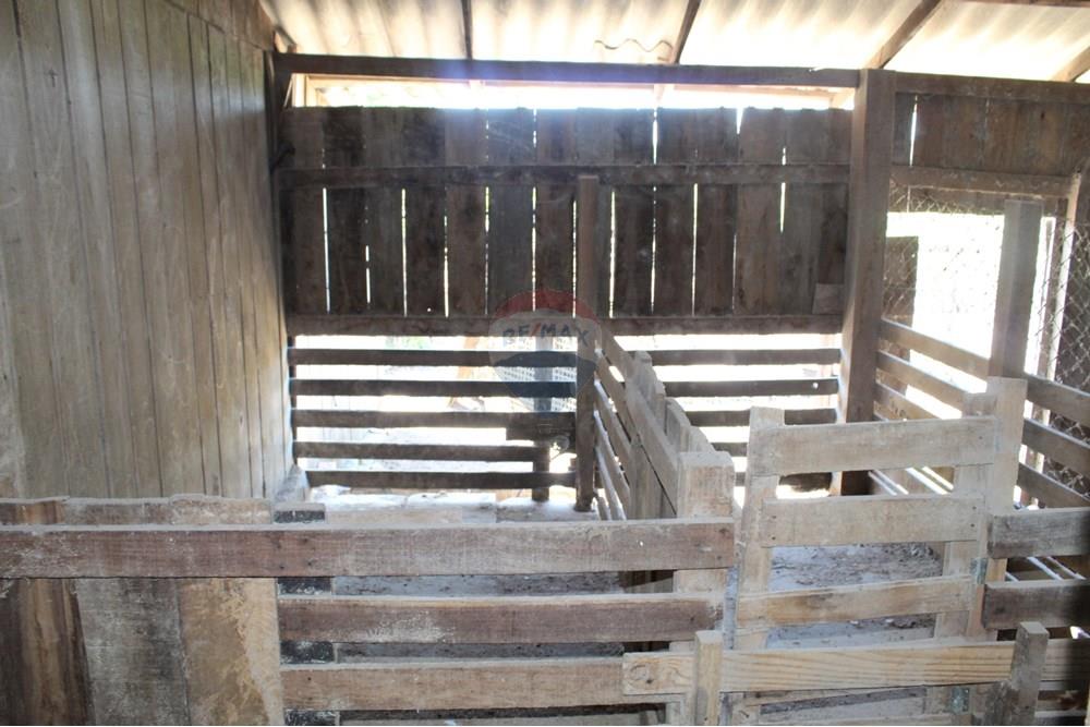 Casa de Campo - Venda - Santo Antônio da Patrulha , Rio Grande do Sul - IMG_3219.JPG - 610161090-7