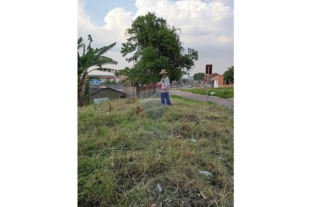 Terreno - Venda - Guaíba , Rio Grande do Sul - 15107b67-f1f8-404e-a8b9-1280c2355531.jpeg - 612781010-15