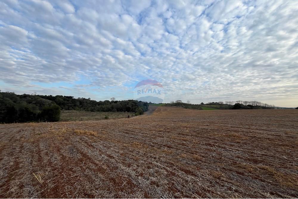 Fazenda - Venda - Lagoa Vermelha , Rio Grande do Sul - IMG_2565.JPG - 610111017-1