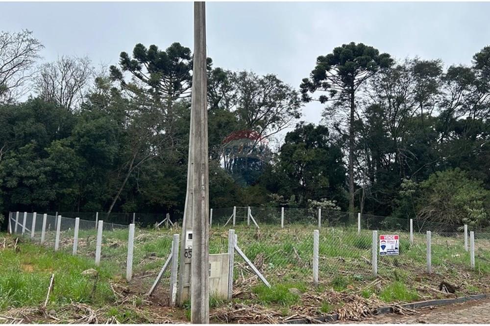 Terreno - Venda - Barão de Cotegipe , Rio Grande do Sul - WhatsApp Image 2025-08-09 at 14.34.26 (1).jpeg - Fachada - 612761035-8