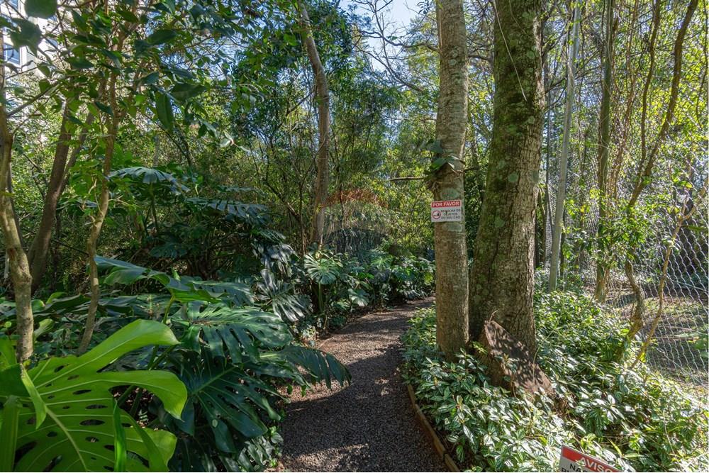 Apartamento - Venda - Porto Alegre , Rio Grande do Sul - DSC01687.jpg - 610371008-97