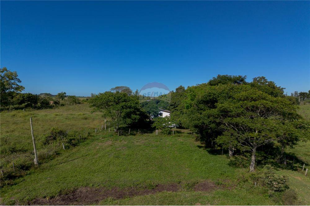 Chácara / Sítio / Fazenda - Venda - Santa Maria , Rio Grande do Sul - 14 - 610311056-76