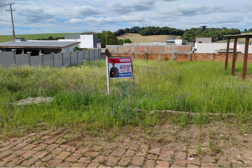 Terreno - Venda - Carazinho , Rio Grande do Sul - IMG_20251007_155108.jpg - 612701005-29