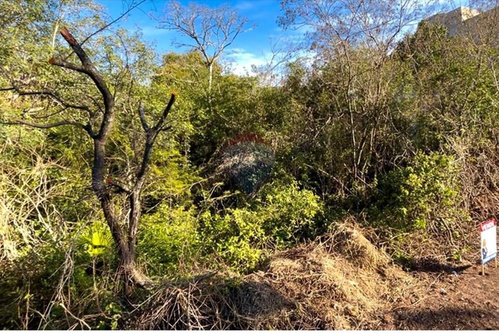 Terreno - Venda - Guaíba , Rio Grande do Sul - Imagem do WhatsApp de 2025-08-28 à(s) 16.10.24_d802b5d0.jpg - 612781019-16