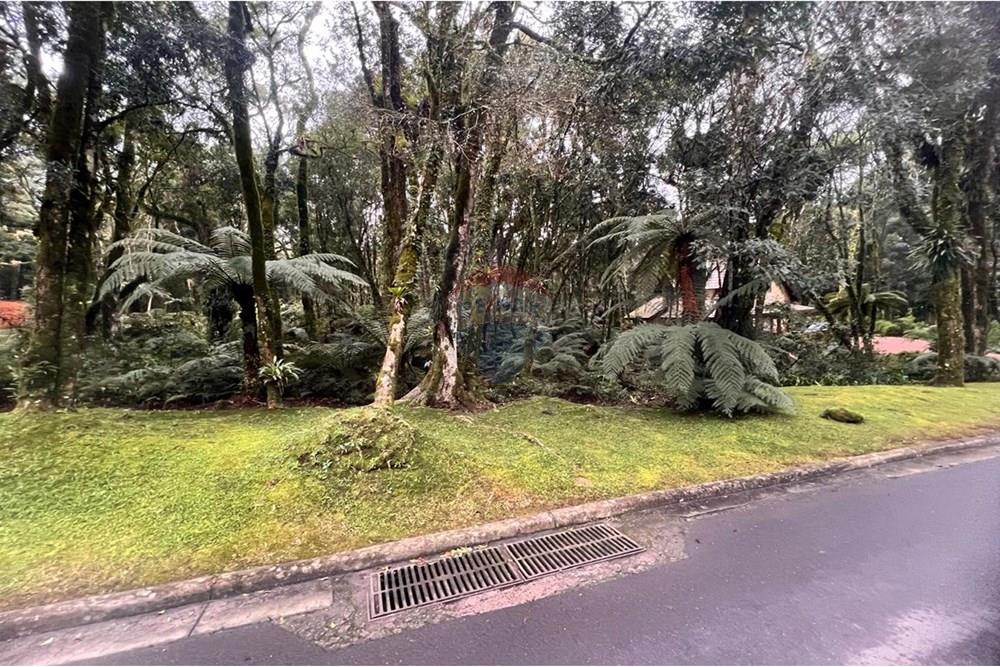 Terreno - Venda - Gramado , Rio Grande do Sul - WhatsApp Image 2024-12-12 at 06.37.30 (15).jpeg - 610131034-40