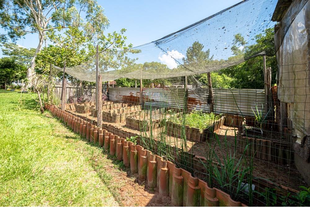 Chácara / Sítio / Fazenda - Venda - Novo Hamburgo , Rio Grande do Sul - DSC_3372.jpg - 610261015-33