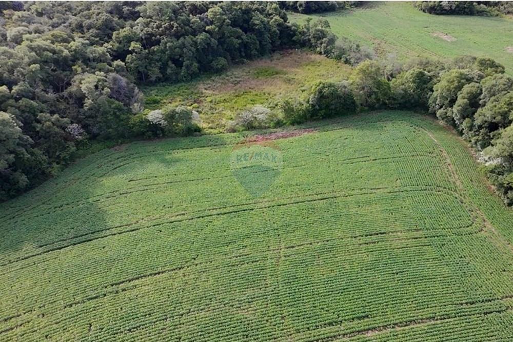 Chácara / Sítio / Fazenda - Venda - Nonoai , Rio Grande do Sul - WhatsApp Image 2025-01-15 at 17.51.27.jpeg - 610231004-83