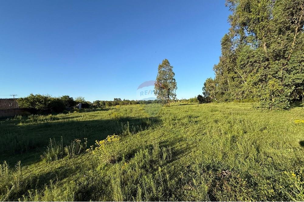 Terreno - Venda - São Gabriel , Rio Grande do Sul - Imagem do WhatsApp de 2025-10-16 à(s) 14.42.40_1251c4d9.jpg - 612631024-78
