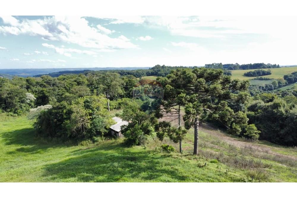 Chácara / Sítio / Fazenda - Venda - Gaurama , Rio Grande do Sul - WhatsApp Image 2025-09-01 at 14.32.56.jpeg - Fachada - 612761027-16