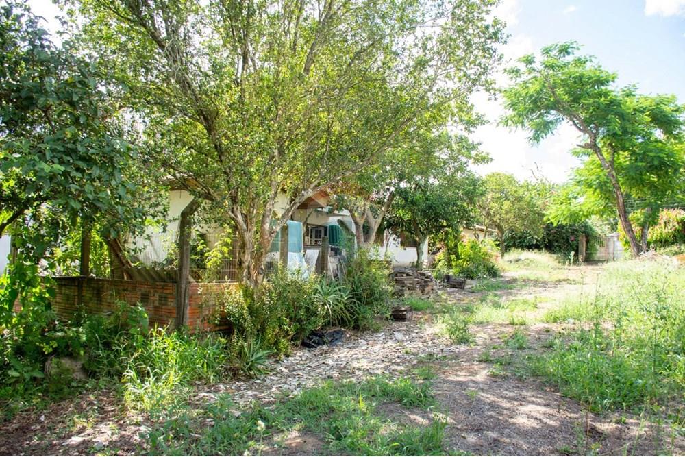 Casa Comercial - Venda - Cachoeirinha , Rio Grande do Sul - WhatsApp Image 2025-02-14 at 17.13.26 (1).jpeg - 612551005-102