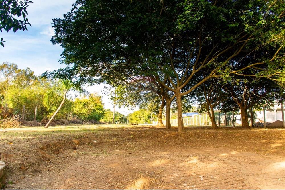 Terreno - Venda - Porto Alegre , Rio Grande do Sul - WhatsApp Image 2025-05-20 at 17.44.23.jpeg - 612551005-116