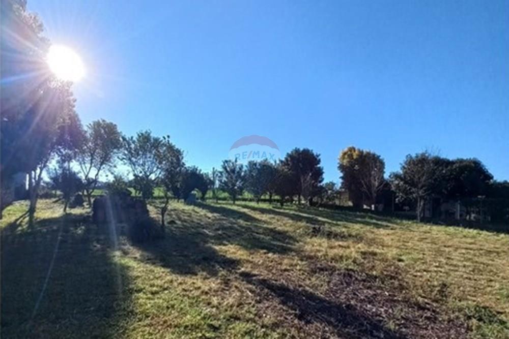 Terreno - Venda - Entre Rios do Sul , Rio Grande do Sul - WhatsApp Image 2025-09-10 at 00.59.29.jpeg - 610231035-3