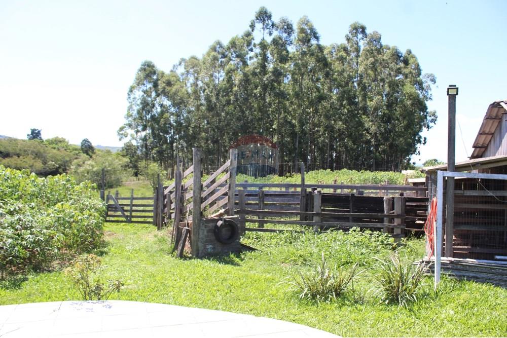 Casa de Campo - Venda - Santo Antônio da Patrulha , Rio Grande do Sul - IMG_3316.JPG - 610161090-7