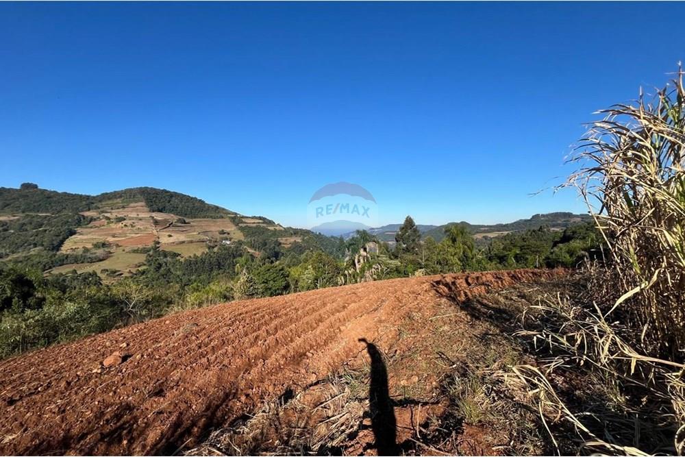 Chácara / Sítio / Fazenda - Venda - Santa Cruz do Sul , Rio Grande do Sul - WhatsApp Image 2025-07-21 at 10.35.21 (3).jpeg - 612741028-54