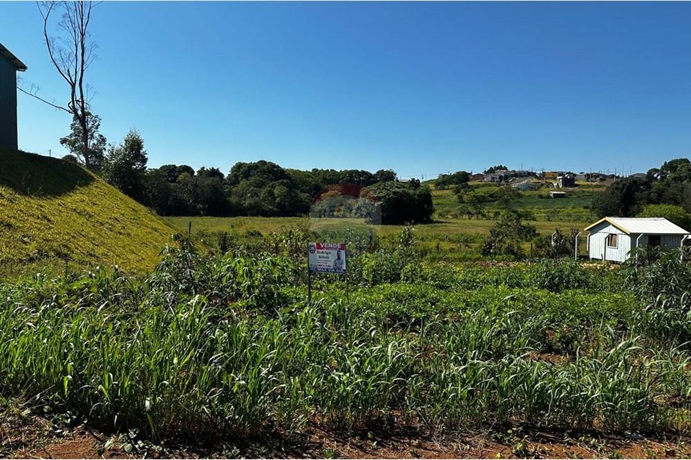 Terreno - Venda - Três Palmeiras , Rio Grande do Sul - WhatsApp Image 2025-01-09 at 09.44.55.jpeg - 610231001-180