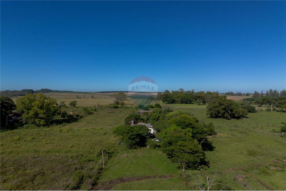 Chácara / Sítio / Fazenda - Venda - Santa Maria , Rio Grande do Sul - 6 - 610311056-76