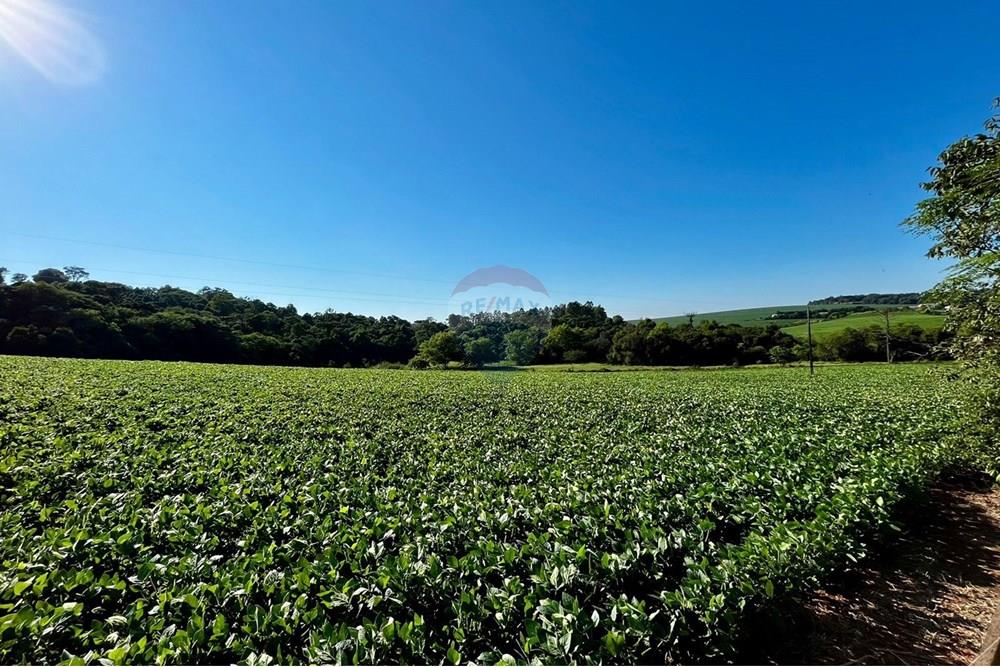 Chácara / Sítio / Fazenda - Venda - Não-Me-Toque , Rio Grande do Sul - WhatsApp Image 2025-01-20 at 20.18.19.jpeg - 610271058-70