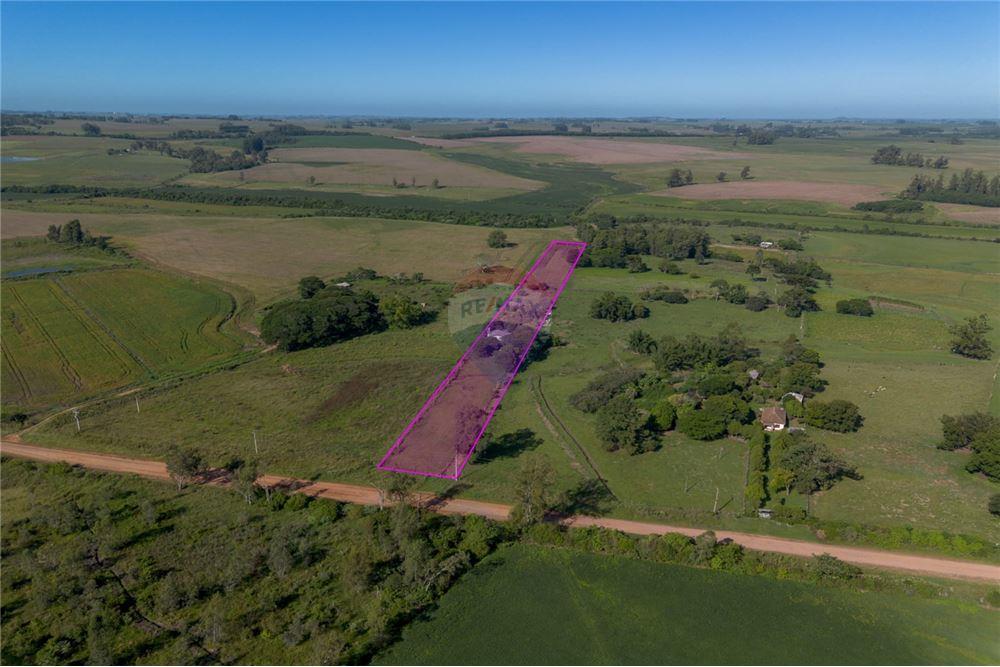 Chácara / Sítio / Fazenda - Venda - Santa Maria , Rio Grande do Sul - 2 - 610311056-76