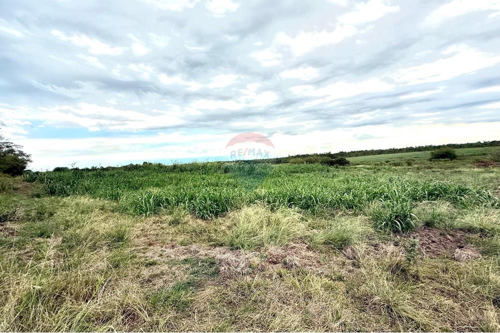 Chácara / Sítio / Fazenda - Venda - São Gabriel , Rio Grande do Sul - Imagem do WhatsApp de 2025-02-26 à(s) 22.07.13_41af19de.jpg - 612631046-2