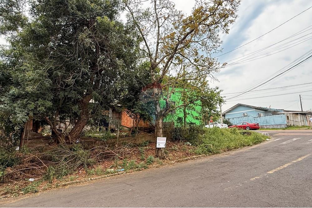 Terreno - Venda - Sapucaia do Sul , Rio Grande do Sul - IMG_7079.jpg - 612651059-10