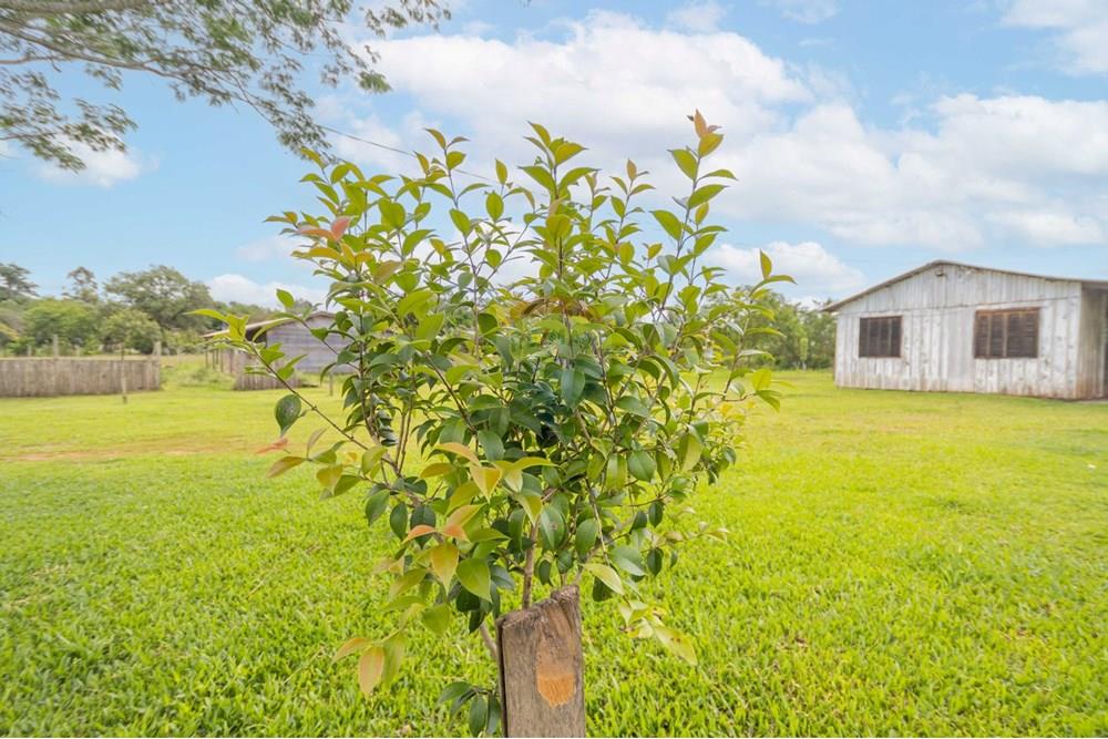 Chácara / Sítio / Fazenda - Venda - Gravataí , Rio Grande do Sul - WhatsApp Image 2025-05-26 at 18.45.25.jpeg - 610381108-10