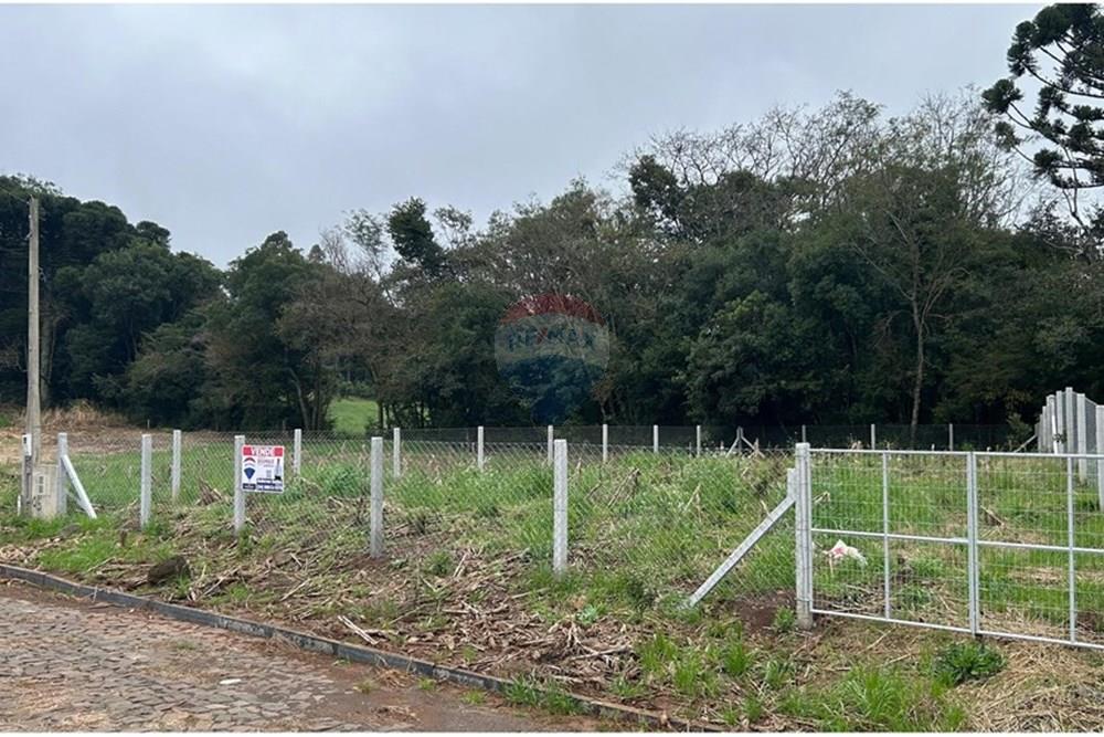 Terreno - Venda - Barão de Cotegipe , Rio Grande do Sul - WhatsApp Image 2025-08-09 at 14.34.25 (2).jpeg - Fachada - 612761035-8